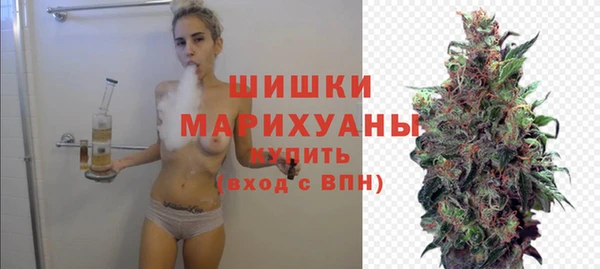 ешки Бронницы