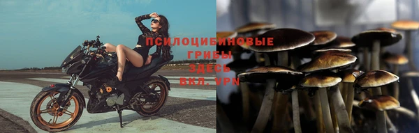 ешки Бронницы