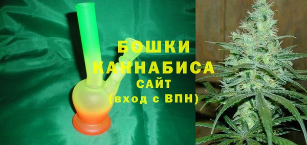 ешки Бронницы