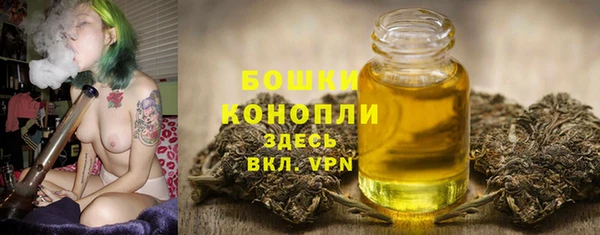 ешки Бронницы