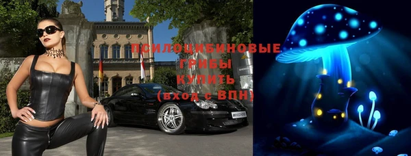 прущие грибы Бугульма